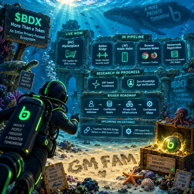A complex, underwater-themed promotional infographic for the "$BDX" token, labeled "More Than a Token, An Entire Privacy-Focused Ecosystem," detailing roadmaps, live features like a BNS Marketplace, and upcoming milestones within the Beldex ecosystem.