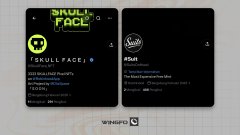 The image shows two X/Twitter profile cards for "Skull Face" (@SkullFace_NFT) with a dark theme and skull logo, displayed against a grid paper background. The tweet references Skull Face as one of several early NFT projects on Robinhood Chain, featuring 3,333 pixel NFTs with art by DiixSpace.