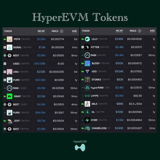 A dark-themed data table titled 'HyperEVM Tokens' listing cryptocurrencies like PSTR, SIGNAL, LILLY, and USDC with their market caps, prices, and ages.