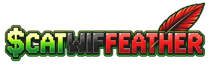 A stylized logo reads "$CATWIFEATHER" in green-to-red gradient block letters, accented by a red feather graphic on the right. The image ties directly to the post's contract address (0x9411673acad2Ff68810713cbc04E029c8d636FE6) and the ticker "WIF FEATHER," serving as the memecoin's visual identity.