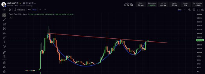 A trading chart displays Cash.Cat ($CASHCAT) on a 12h timeframe, currently priced around $0.086 with a market cap of $164.5M and a 5.37% 24-hour gain, featuring a descending trendline resistance and a bullish cup-and-handle pattern forming near $0.082. The technical breakout setup aligns with the poster's confidence in holding a spot position, anticipating meme-driven momentum for maximum ROI.