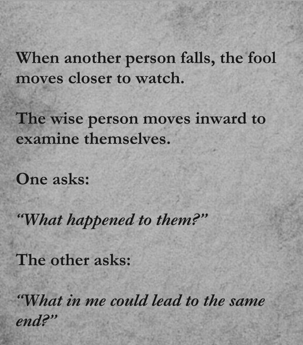 A text graphic on a textured gray background presenting a philosophical contrast: 'When another person falls, the fool moves closer to watch. The wise person moves inward to examine themselves,' followed by a dialogue about asking 'What happened to them?' versus 'What in me could lead to the same end?'.