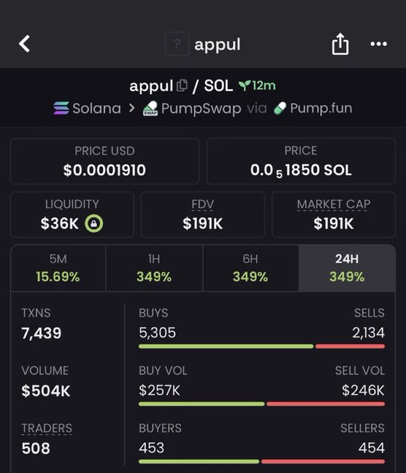 Cryptocurrency analytics screenshot for the "appul" token on Solana, showing price $0.0001910, market cap $191K, and 24H change of 349%.