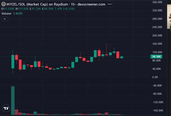 A 1-hour candlestick chart of $MYCEL on Raydium shows the token's market cap sitting at 98.50K after an 8.21% dip, following an earlier spike to 105.65K—visually supporting the post's suggestion that it's a timely entry point to get in early on the "fungus season" play.