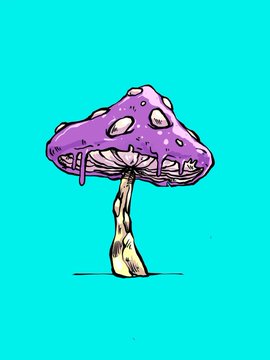 An illustration of a purple mushroom with white spots on a turquoise background.
