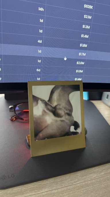 A Polaroid photo of a French bulldog leans against an LG monitor displaying transaction amounts ranging from $828K to $2.1M with time intervals, likely representing a crypto trading portfolio. The "!gn" caption (reversed "ng!" for "ngmi" or "not going to make it") humorously suggests the portfolio's poor performance despite the large figures.