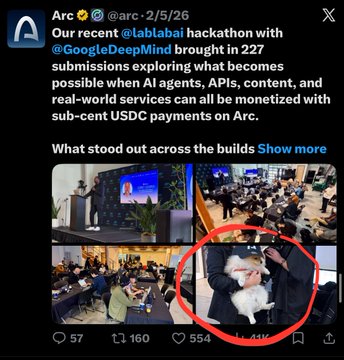 The image shows a Twitter/X post from Arc (@arc, dated 2/5/26) recapping a recent @lablabai hackathon with @GoogleDeepMind, which received 227 submissions exploring AI agent monetization via sub-cent USDC payments, alongside a photo collage of the event where a person in a suit is holding a white cat (circled in red), humorously referenced by the "next cashcat" caption.