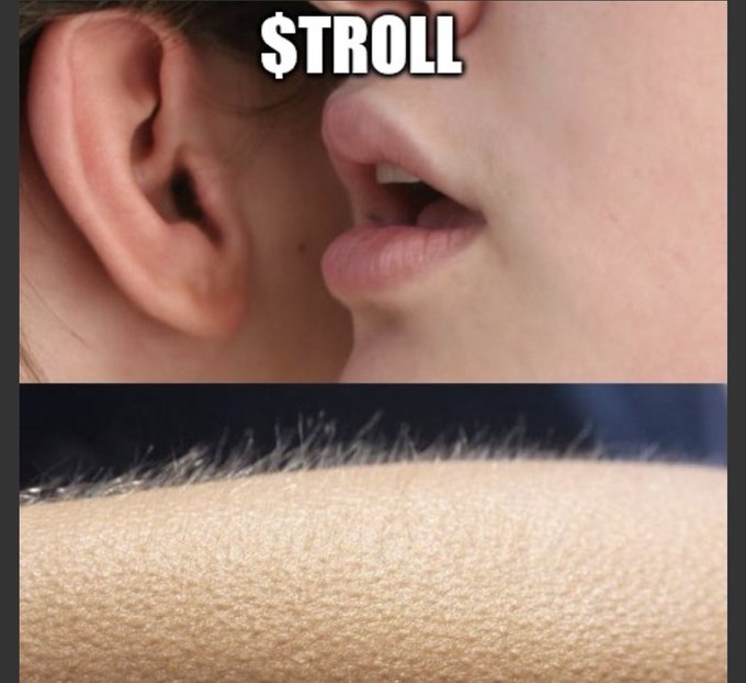 A meme image showing a close-up of two faces about to kiss above an extreme close-up of skin with fine hair, with the text "$TROLL" at the top.
