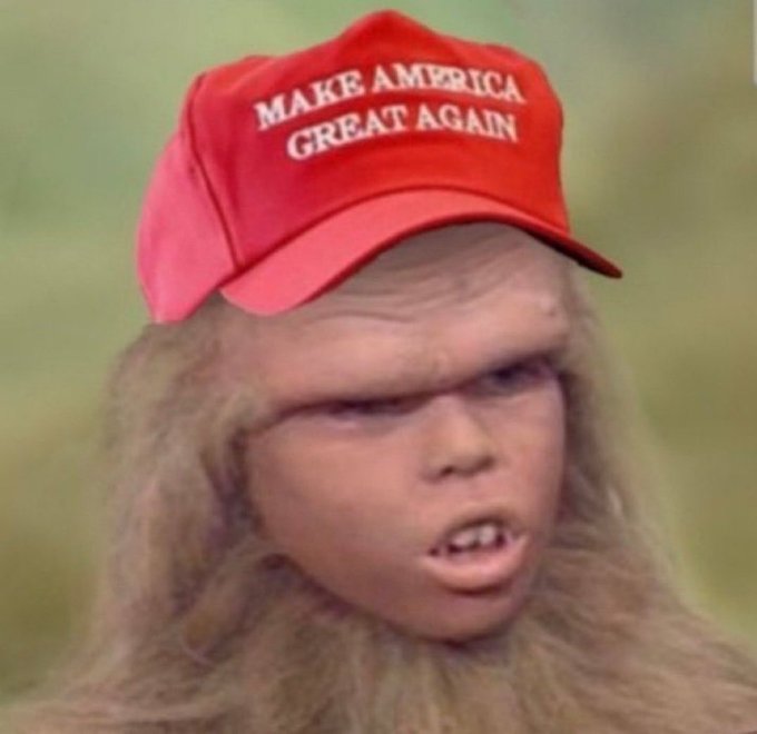 A meme image featuring a hairy humanoid creature with a skeptical expression, wearing a red "MAKE AMERICA GREAT AGAIN" baseball cap, set against a blurred green background.