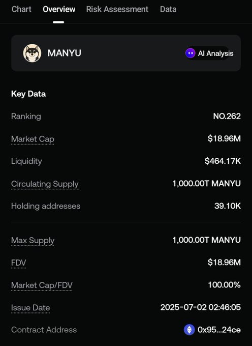 A cryptocurrency data overview screen for the MANYU token, showing a ranking of NO.262, market cap of $18.96M, liquidity of $464.17K, 1,000.00T circulating/max supply, 39.10K holding addresses, and a 2025-07-02 issue date.