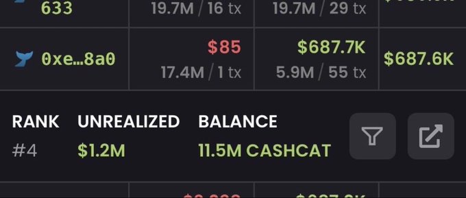 Cryptocurrency portfolio screenshot showing an account (0xe...8a0) with $687.6K, holding 11.5M CASHCAT tokens at rank #4 with $1.2M unrealized gains.