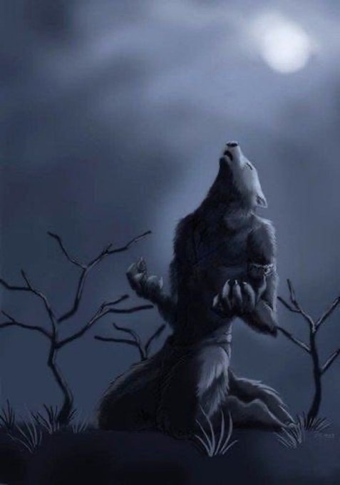 A digitally illustrated wolf howls at a full moon, silhouetted against a dark, cloudy night sky with bare branches framing the scene.