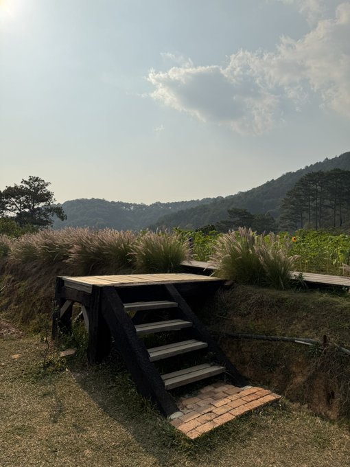 Wooden steps lead up to a grassy platform adorned with ornamental grasses, overlooking rolling green hills and a hazy mountain landscape.