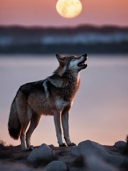 A wolf howling on a rocky shore at twilight with a large full moon and distant mountains in the background.