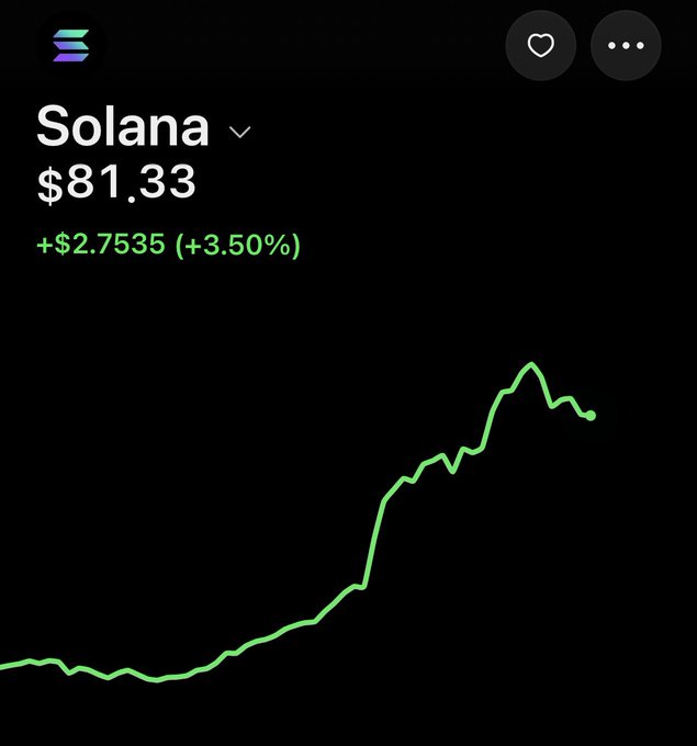 Screenshot of a stock or crypto tracking app showing Solana at $81.33, up $2.7535 (+3.50%), with a green line graph indicating an overall upward trend.