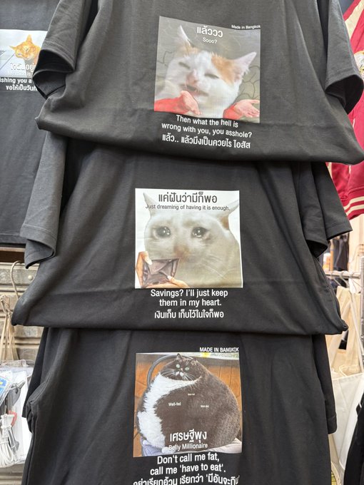 The image shows a stack of black t-shirts featuring humorous cat memes with both English and Thai text, including sayings like "Just dreaming of having it is enough" and "Savings? I'll just keep them in my heart," along with a "Made in Bangkok" label. The caption "$cashcat" fits perfectly with the shirts' financial-themed cat humor, particularly the "savings" joke about a cat keeping money in its heart instead of actually saving it.