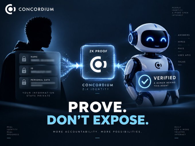 A Concordium-branded promotional graphic shows a silhouetted figure on the left and a humanoid AI robot on the right, connected by a glowing "ZK PROOF" badge with the tagline "PROVE. DON'T EXPOSE. — MORE ACCOUNTABILITY. MORE POSSIBILITIES," illustrating the post's point about verifying the human identity behind autonomous AI agents operating on the internet.