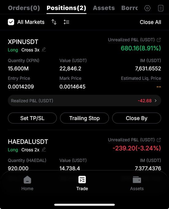 A cryptocurrency trading app showing two open positions: XPINUSDT with an unrealized P&L of +680.16 (8.91%) and HAEDALUSDT with -239.20 (-3.24%).