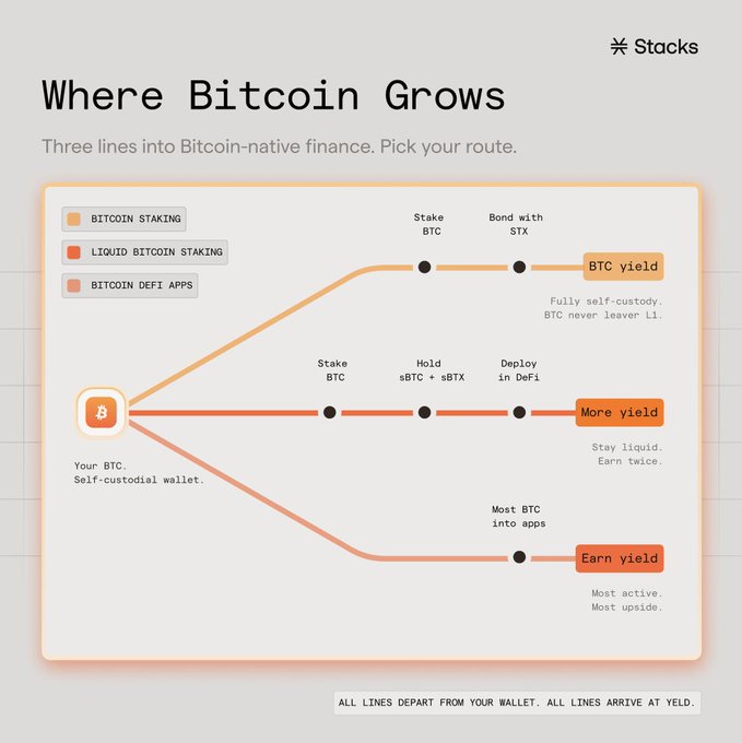 An infographic titled "Where Bitcoin Grows" by Stacks, showing three pathways—Bitcoin Staking, Liquid Bitcoin Staking, and Bitcoin DeFi Apps—departing from a self-custodial wallet toward varying levels of BTC yield.