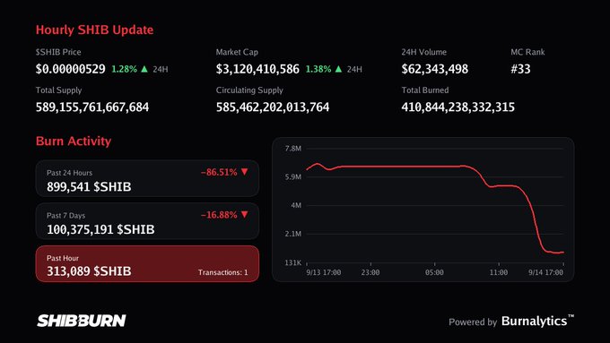A digital dashboard titled 'Hourly SHIB Update' displays cryptocurrency statistics including an SHIB price of $0.00000529, market cap, and burn activity charts powered by Burnalytics.