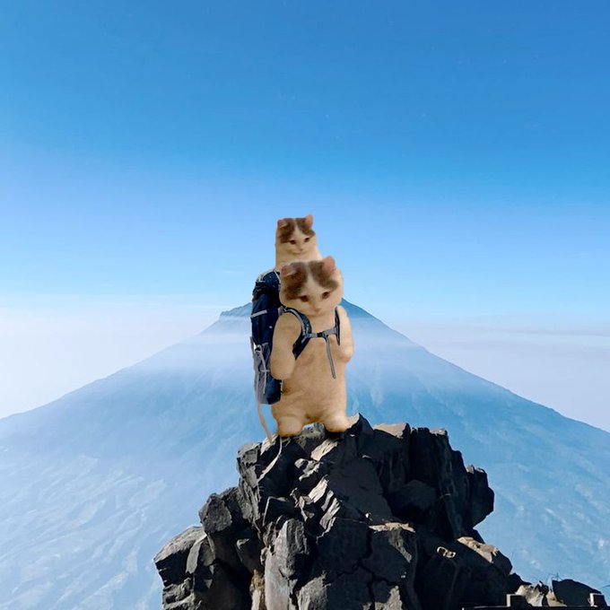 A whimsical image of two cats standing on a rocky mountain peak, with one cat wearing a backpack and holding the other on its shoulders against a clear blue sky.