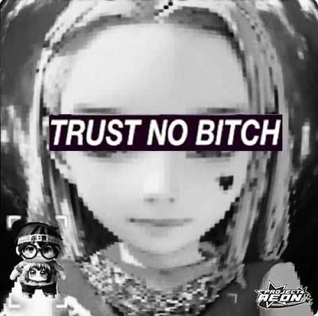 A glitchy, low-resolution black-and-white portrait of Billie Eilish features a bold purple banner across her eyes reading "TRUST NO BITCH," along with small overlay graphics including a figurine and a "DJ SECTOR REDN" logo. The image reinforces the post's cautionary message about rebranding to SPX6900 accounts, visually echoing the theme of suspicion and the need for discernment when engaging with crypto community figures.