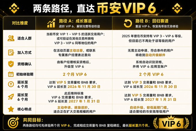 A Chinese promotional chart titled '两条路径，直达币安VIP 6' (Two Paths to Binance VIP 6) comparing 'Path A: Growth Track' and 'Path B: Return Track' with various eligibility criteria and benefits.