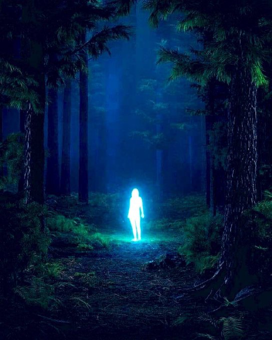 A glowing, ghostly figure stands alone in a dark, moonlit forest, illuminating the surrounding trees and path with an ethereal blue light. The image evokes a sense of rare survival and steadfastness, mirroring the post's message about the tiny percentage of original community members who have endured since day one alongside $pork/$wPOND/$PNDC.