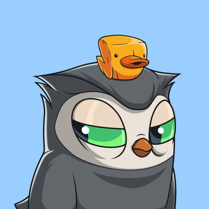 A cartoon illustration of a black and white penguin-like character with green eyes, wearing a small orange duck-shaped hat on its head, set against a light blue background.