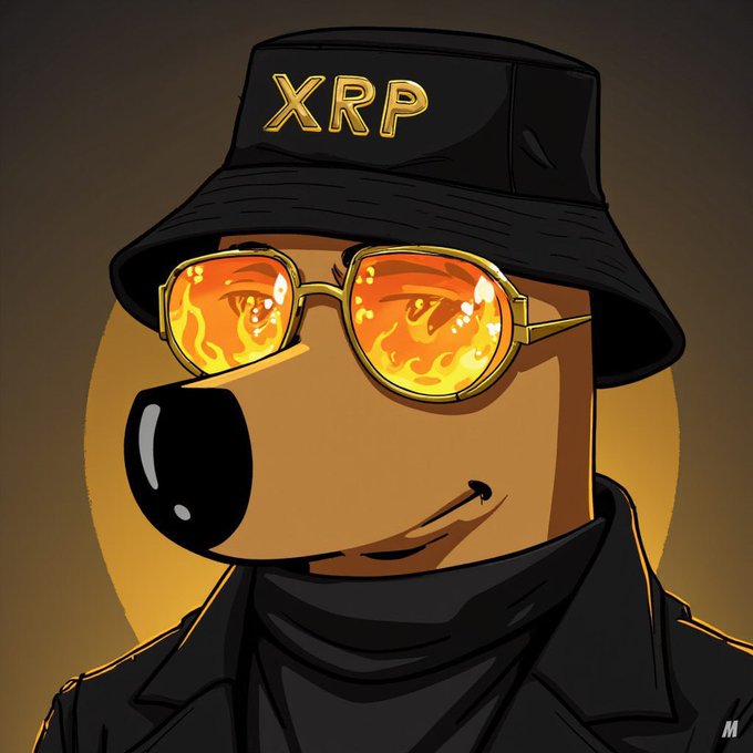 A cartoon illustration of a dog character with flaming orange glasses and a black bucket hat displaying "XRP" in gold lettering.
