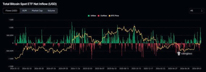 The image displays a chart titled "Total Bitcoin Spot ETF Net Inflow (USD)" from Coinglass, showing green inflow and red outflow bars alongside the BTC price line from March 2024 to early 2026, with recent days showing consistent green inflow bars. This visualization supports the claim that US spot Bitcoin ETFs have experienced sustained net inflows—cumulatively around +$2.06B this week—despite Bitcoin trading 4.1% below its recent local top, indicating that traditional finance selling is not driving the price pullback.