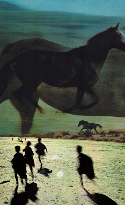 An artistic, surreal image showing large, ghostly silhouettes of running horses superimposed over a scene of people running across a sandy landscape toward a distant horse.