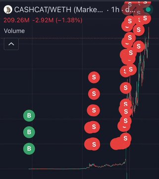 The image shows a 1-hour trading chart for CASHCAT/WETH, displaying a sharp price spike from around 209.26M with a -2.92M (-1.38%) change, surrounded by numerous red "S" (sell) order markers and green "B" (buy) markers, visually representing the massive gains and subsequent selling activity referenced in the post about turning $214 into $1.43M.