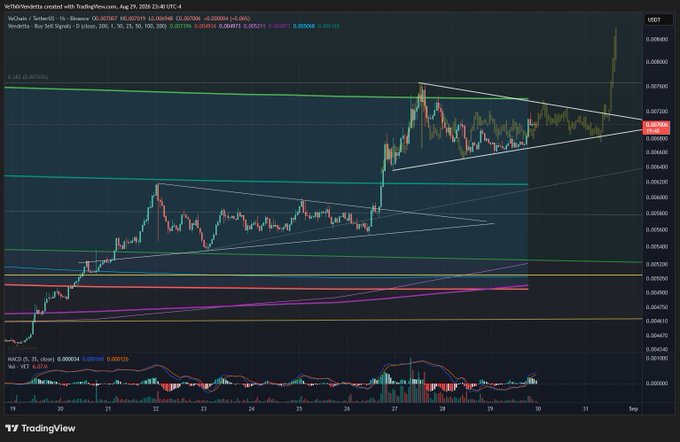 A TradingView candlestick chart for VeChain (VET/USD) on Binance displays price action between 0.00400 and 0.00800 from August 19 to 31, overlaid with descending triangle trendlines and moving averages.