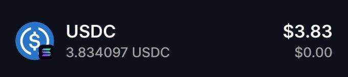 The image displays a crypto wallet balance showing **3.834097 USDC** valued at **$3.83**, with a $0.00 change indicator. This connects to the post "Stabled everything..." by humorously highlighting a wallet holding only a small amount of the stablecoin USDC, suggesting minimal crypto holdings.