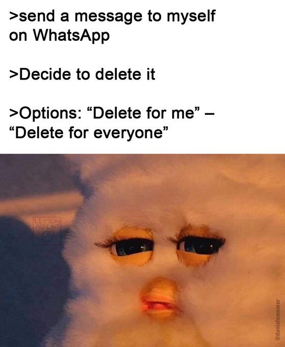 A humorous meme captioned '>send a message to myself on WhatsApp >Decide to delete it >Options: "Delete for me" – "Delete for everyone"' above a photo of a fuzzy white cat with a sorrowful, guilty expression, credited to @ranidemener.