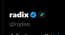 The image shows a Discord-like user profile for "radix" with the handle @rqdixx, featuring a blue verified badge next to the name. The profile appears to be celebrating the newly acquired verified badge, which aligns with the accompanying post's excitement about earning the badge and announcing a $25 flash giveaway for followers.