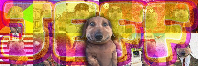 A small brown dachshund puppy named Jeff sits in the center of a collage decorated with vibrant graffiti-style artwork. The post references "Jeff the Dog," a viral meme mascot whose Solana contract address (FQhezsAeUDfq7Qh8HUzbMbiRcBXuFpjT6cVPq2Vupump) and website (jeffthedog.lol) are promoted below.