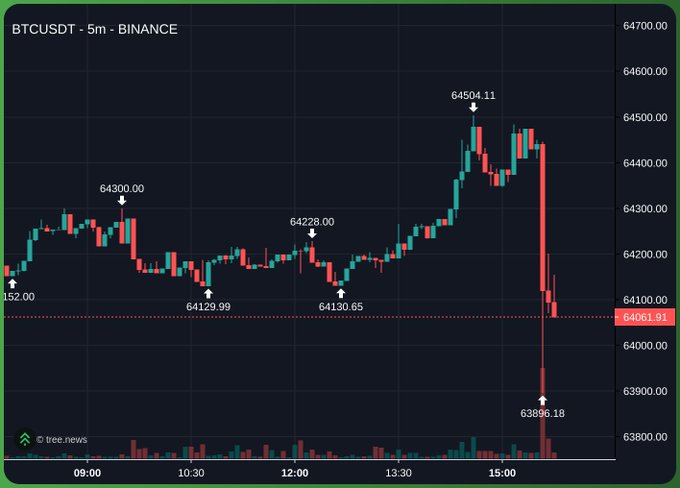 This is a 5-minute candlestick chart of BTCUSDT on Binance, showing a sharp drop in price from over $64,500 to below $63,900, which visually represents the claim that "They are rugging Bitcoin".