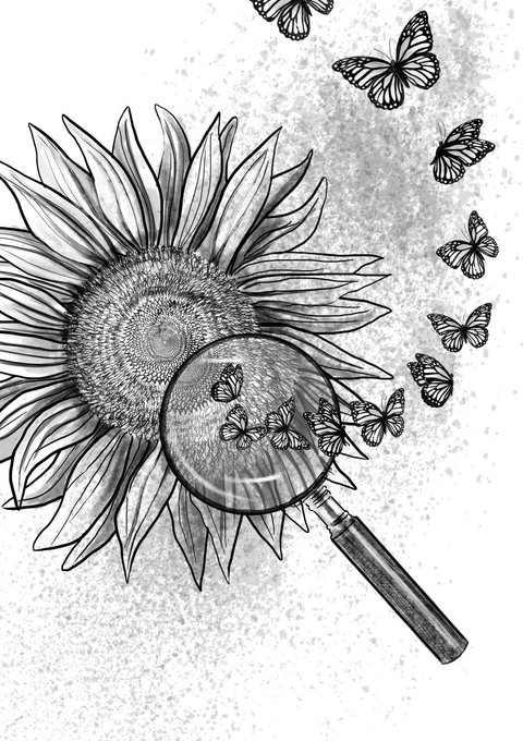 A detailed black and white line drawing of a sunflower being examined through a magnifying glass, surrounded by monarch butterflies.