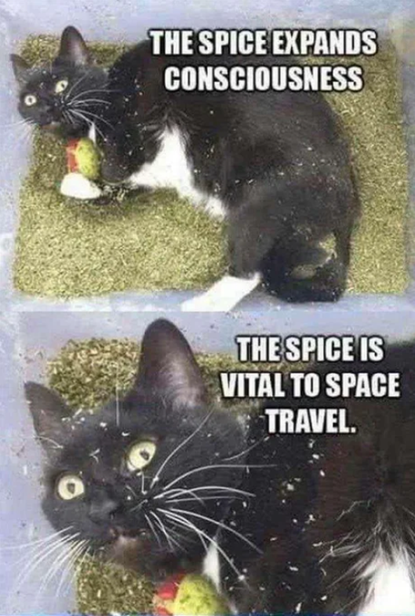 [caption-failed: image unfetchable or no caption]