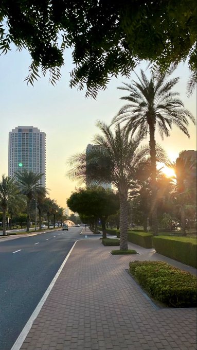 A sunlit urban street lined with tall palm trees and green hedges leads toward a modern high-rise building during what appears to be sunrise or sunset.