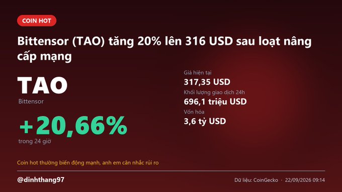 A Vietnamese cryptocurrency news graphic announcing "Bittensor (TAO) tăng 20% lên 316 USD sau loạt nâng cấp mạng", showing a price increase of "+20,66%" over 24 hours, a current price of 317.35 USD, and a market cap of 3.6 billion USD.