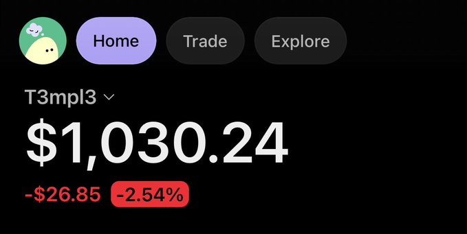 The image shows a portfolio display for "T3mpl3" with a value of $1,030.24, down $26.85 (-2.54%) in red. The screenshot appears to show a crypto trading interface, suggesting a portfolio loss that may be humorously referenced in the post mentioning "$ANSEM."