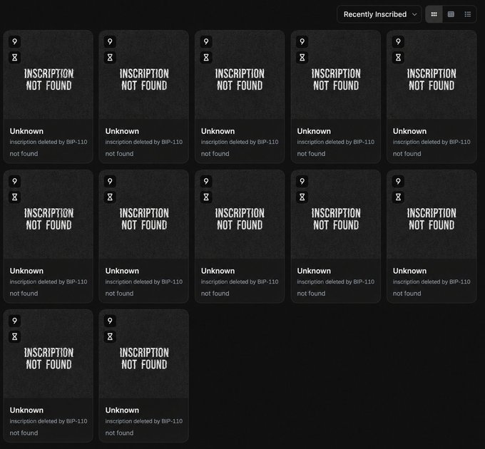 A grid of twelve identical "INSCRIPTION NOT FOUND" placeholders, each labeled "Unknown" with the message "inscription deleted by BIP-110," visually reinforces the post's alarmist claim that all of the user's Bitcoin Ordinals inscriptions have been erased by the BIP-110 protocol update.