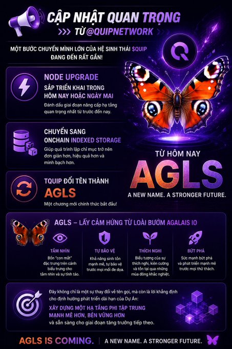 This is an infographic from the website "quipnetwork", which has a color scheme of purple, orange, green, black, and white. The graphic shows two butterflies with wings spread wide, one red and the other orange. The text on the poster reads "Cập nhật quan trọng từ @quipnetwork! Node Upgrade dự Kiến triển khai trong hôm nay hoặc giúp sa đó, mạng lưới sẽ chuyển sang Onchain Indexed Storage, giúp việc lập chỉ mục". The poster also mentions the words "Agls", "Loi Nghân", and a connection to the term "AIgls".