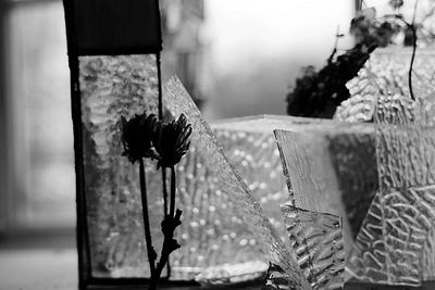 A black and white photograph featuring a silhouette of a dried flower in a vase in front of a window, with a textured glass pitcher visible on the right.