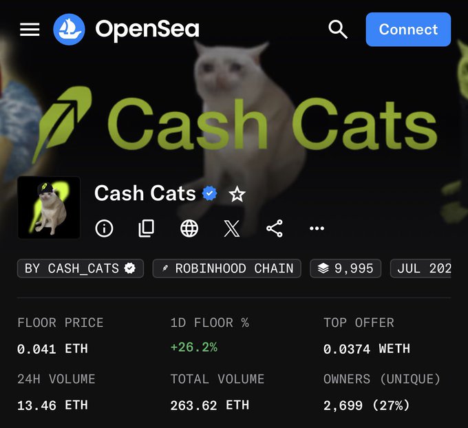 The image shows the OpenSea listing for the "Cash Cats" NFT collection, displaying a floor price of 0.041 ETH, a 24-hour volume of 13.46 ETH, and 2,699 unique owners (27%), which aligns with the post's argument that increasing unique ownership at current low prices makes the collection significantly undervalued.
