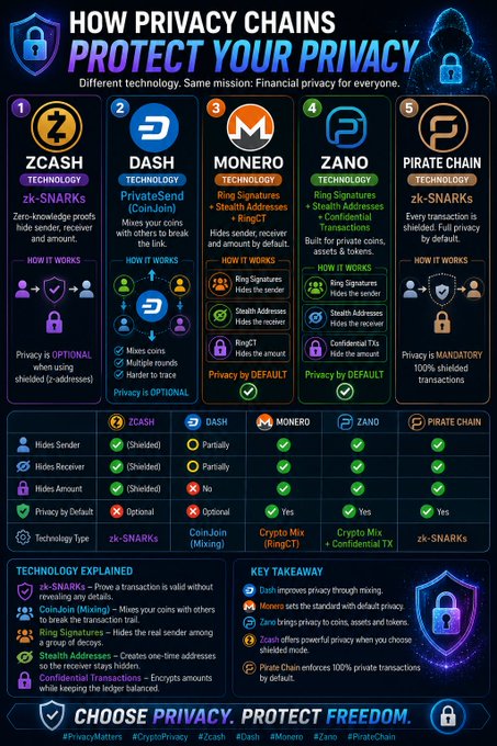 Infographic titled 'HOW PRIVACY CHAINS PROTECT YOUR PRIVACY' comparing five cryptocurrencies: Zcash (zk-SNARKS), Dash (PrivateSend/CoinJoin), Monero (RingCT), Zano (RingCT + Confidential TX), and Pirate Chain (zk-SNARKS), with a comparison table showing which features hide sender, receiver, and amount.