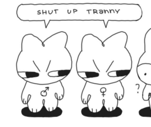 A black and white cartoon comic shows two cat-like characters with male and female gender symbols, with the left one saying 'SHUT UP TRANNY' in a speech bubble.